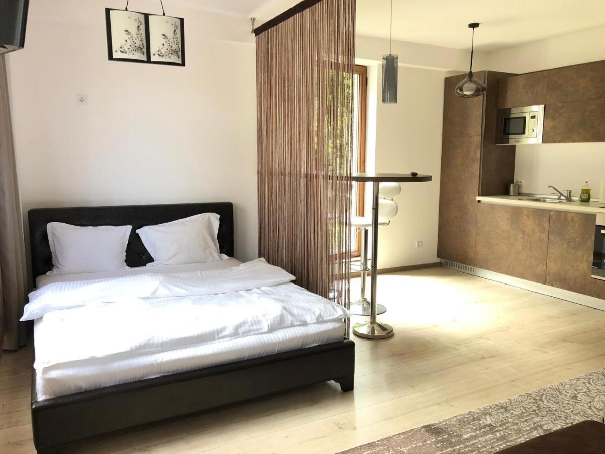 Iq Studio - Seasons Residence Braşov Esterno foto